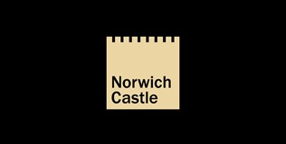 Website Case Study Norwich Castle Blog 001 2000X1125px