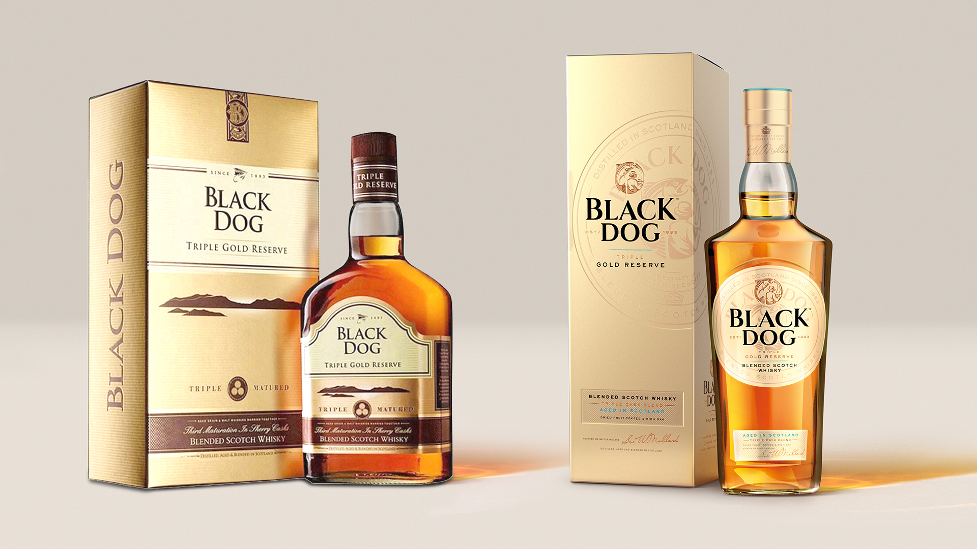 Black Dog Before And After Copy