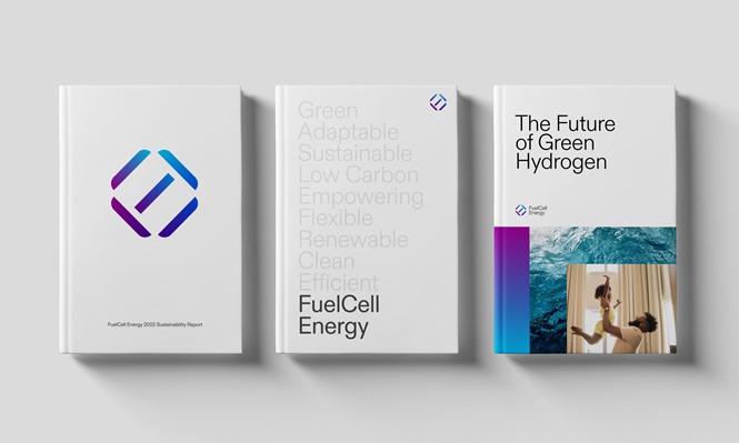 Fuel Cell Energy Books