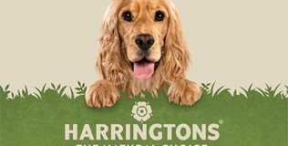 1 Harringtons CS Header