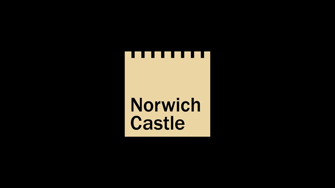 Website Case Study Norwich Castle Blog 001 2000X1125px