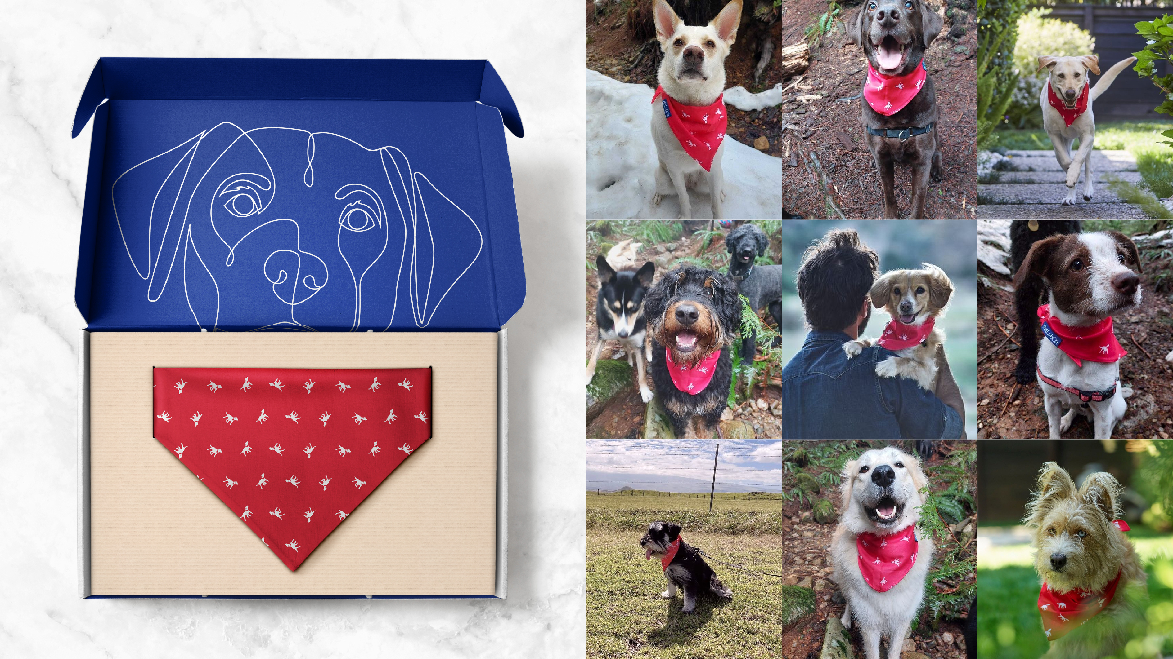 D&E LDN026 S1R1 ADS Petlabco 4 Artboard 22