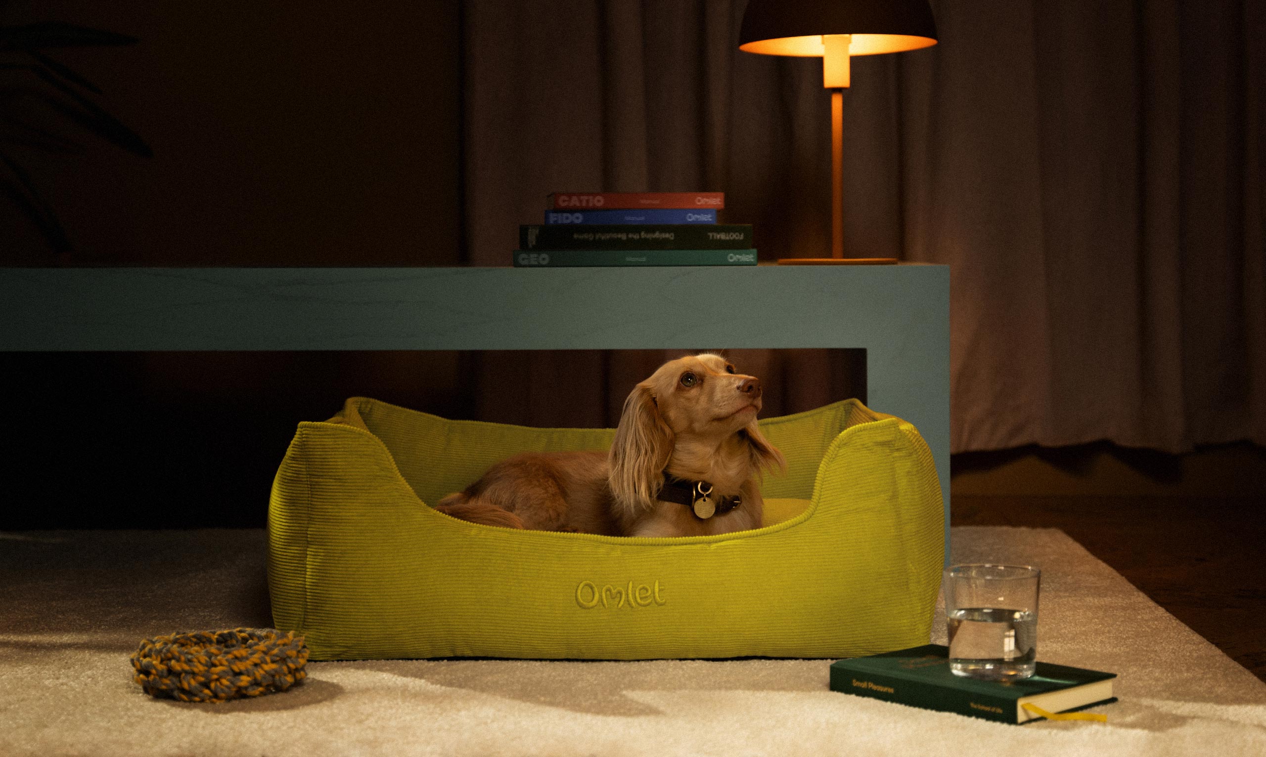 18 Omlet Logo Nest Archie L