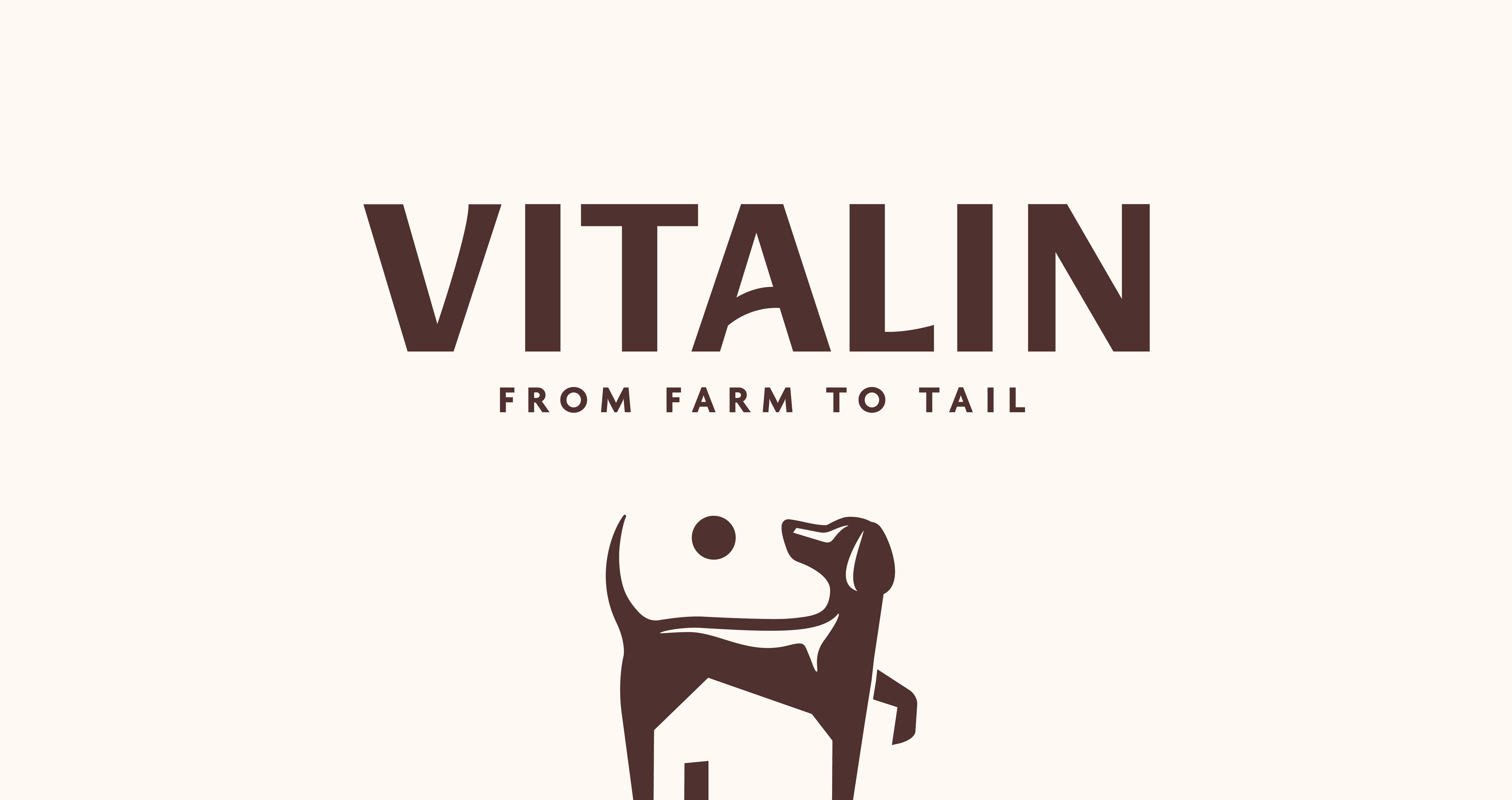 1. Vitalin Logo