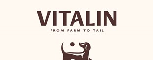 1. Vitalin Logo