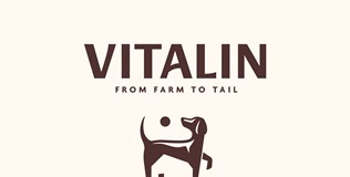 1. Vitalin Logo
