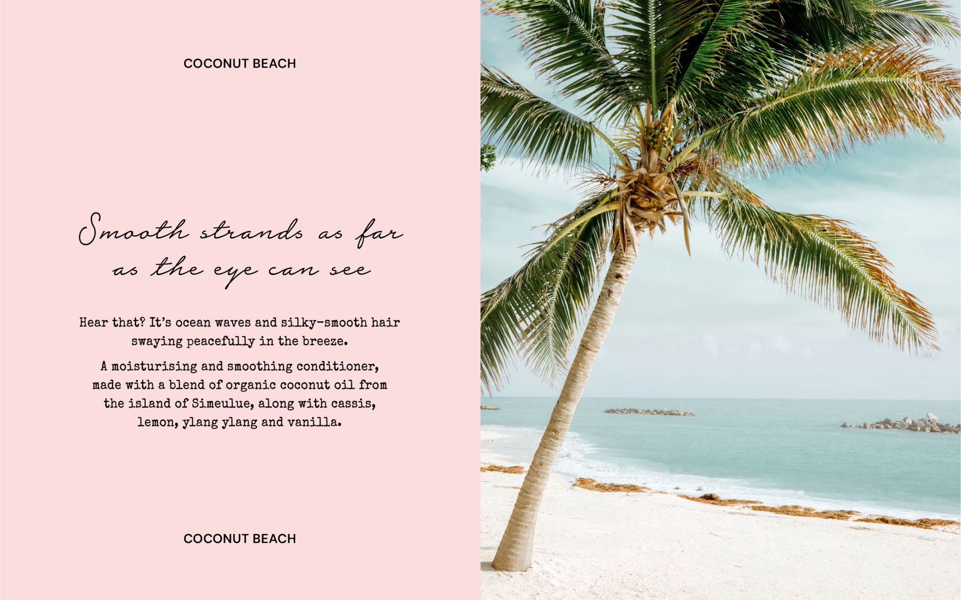 B419ab84c2b9d49c9b6f34161d21418055cf7576 1888