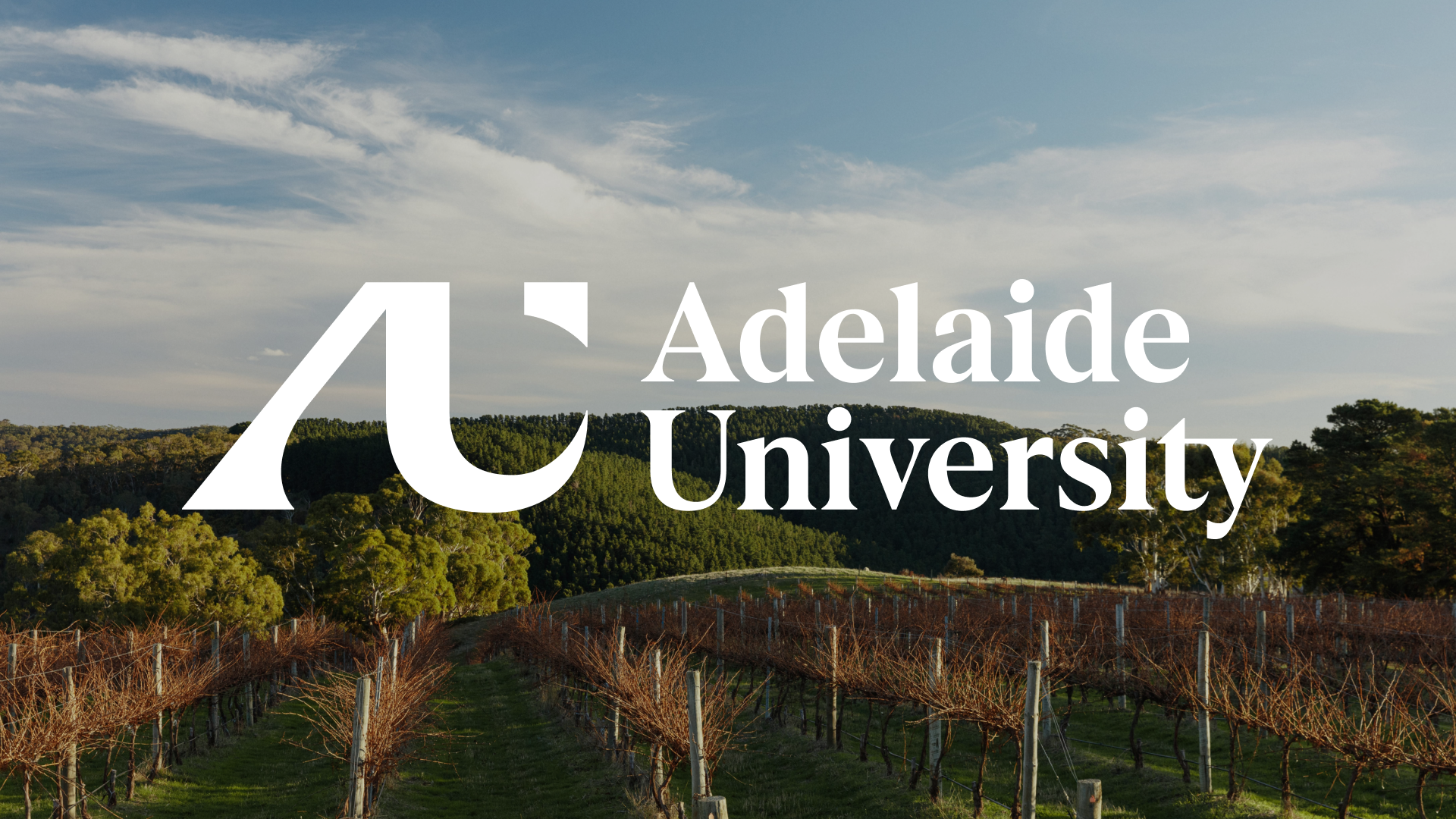 ADLU Logo Vineyard