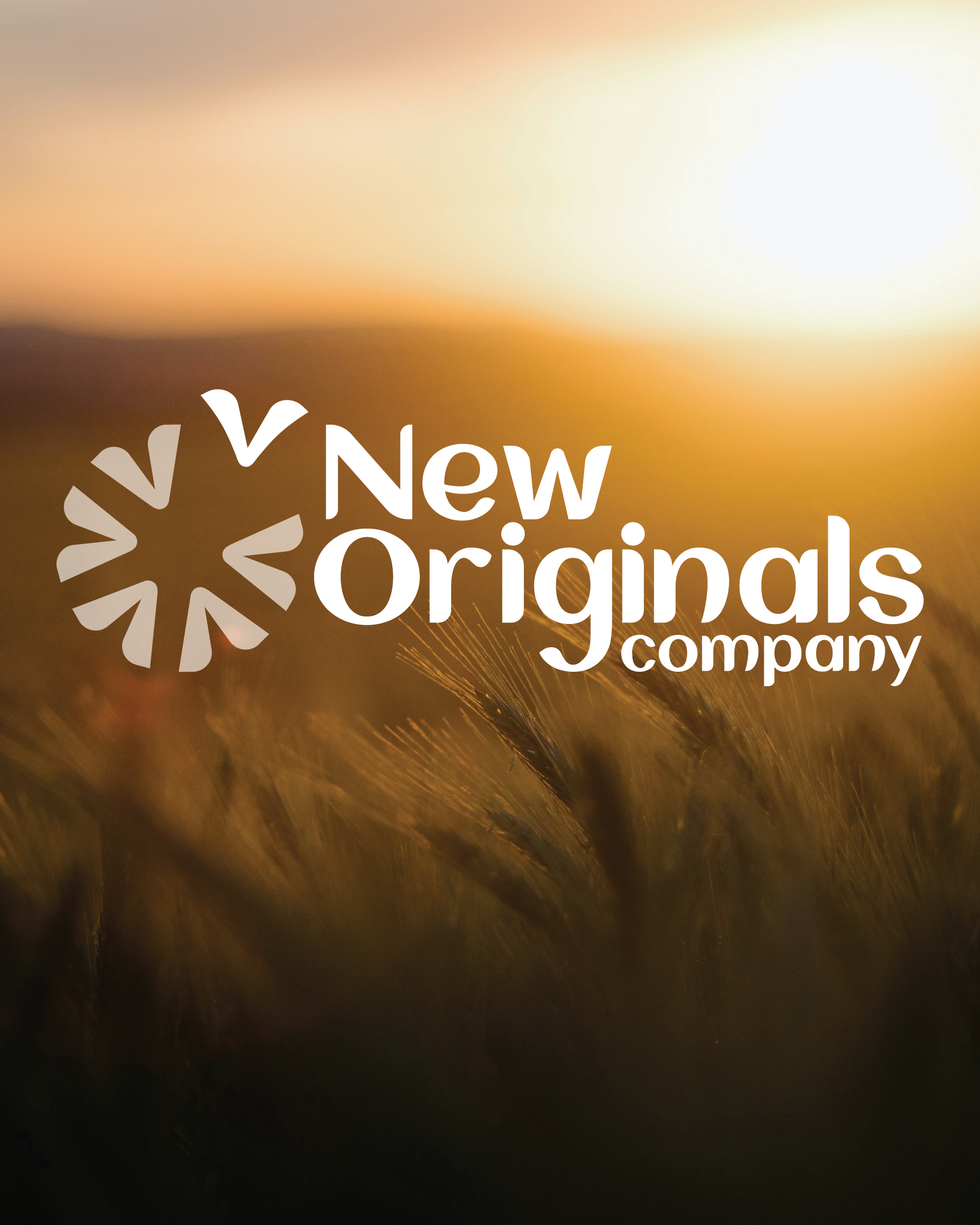 New Orignals Case Study 09