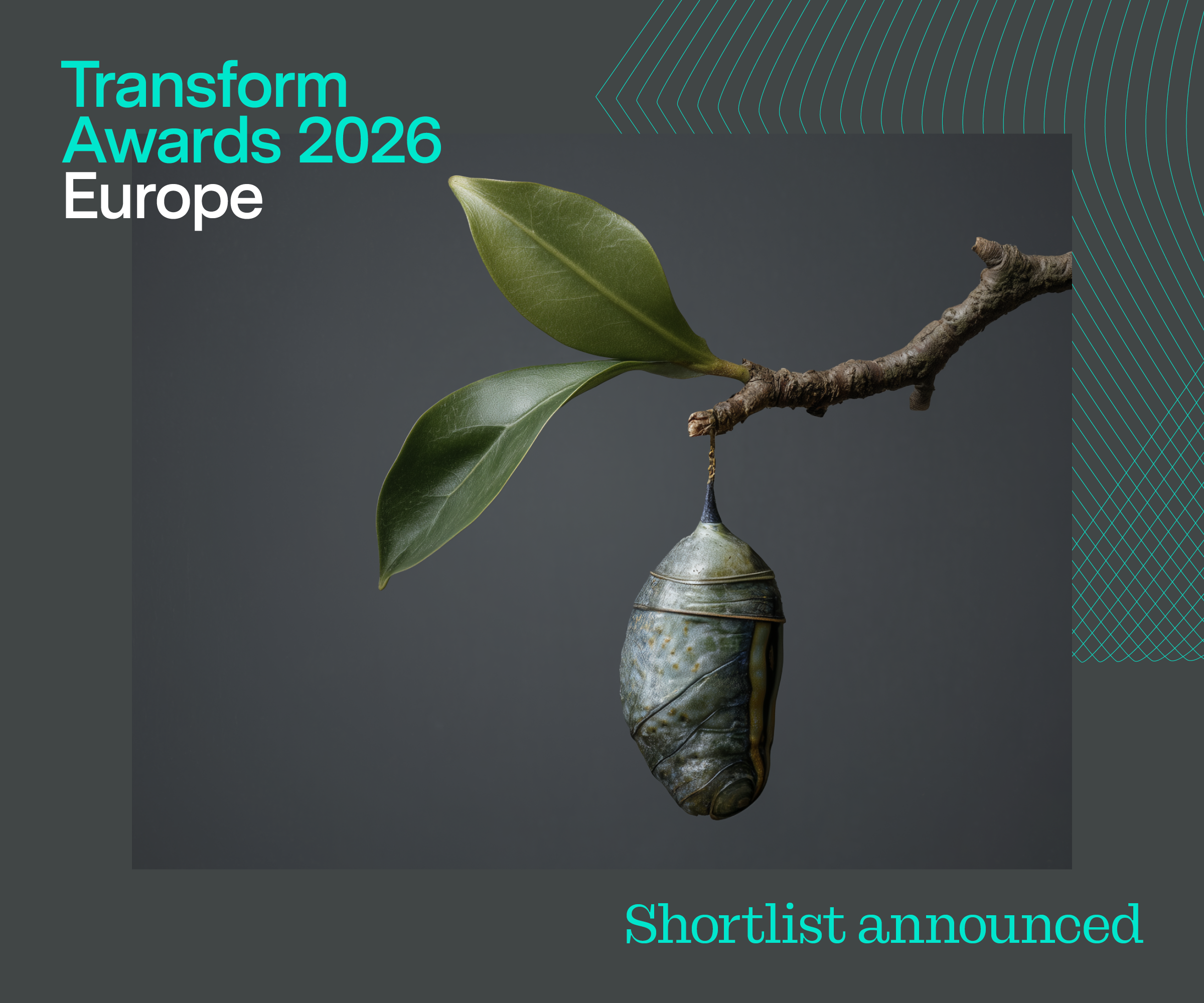 3 TAE 2026 Shortlist Announced News Story