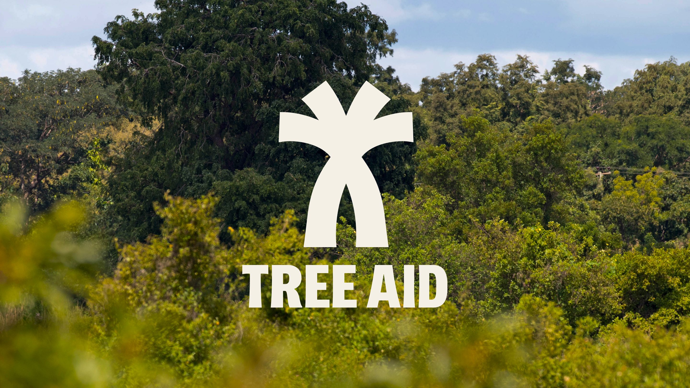 01 Treeaid Logo