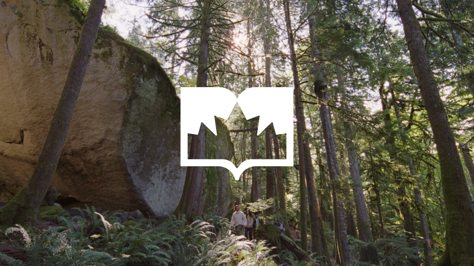 LC Designartboard 11