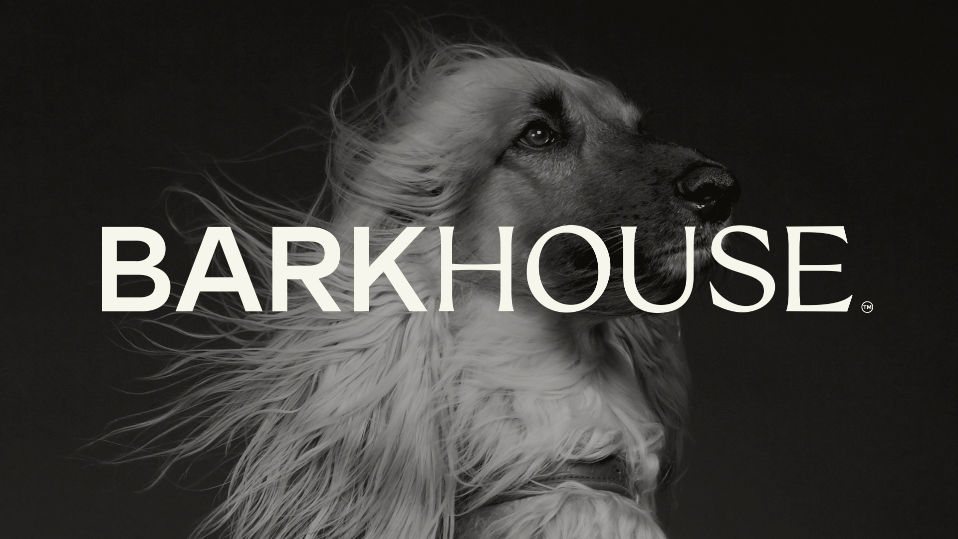 Barkhouse Logo