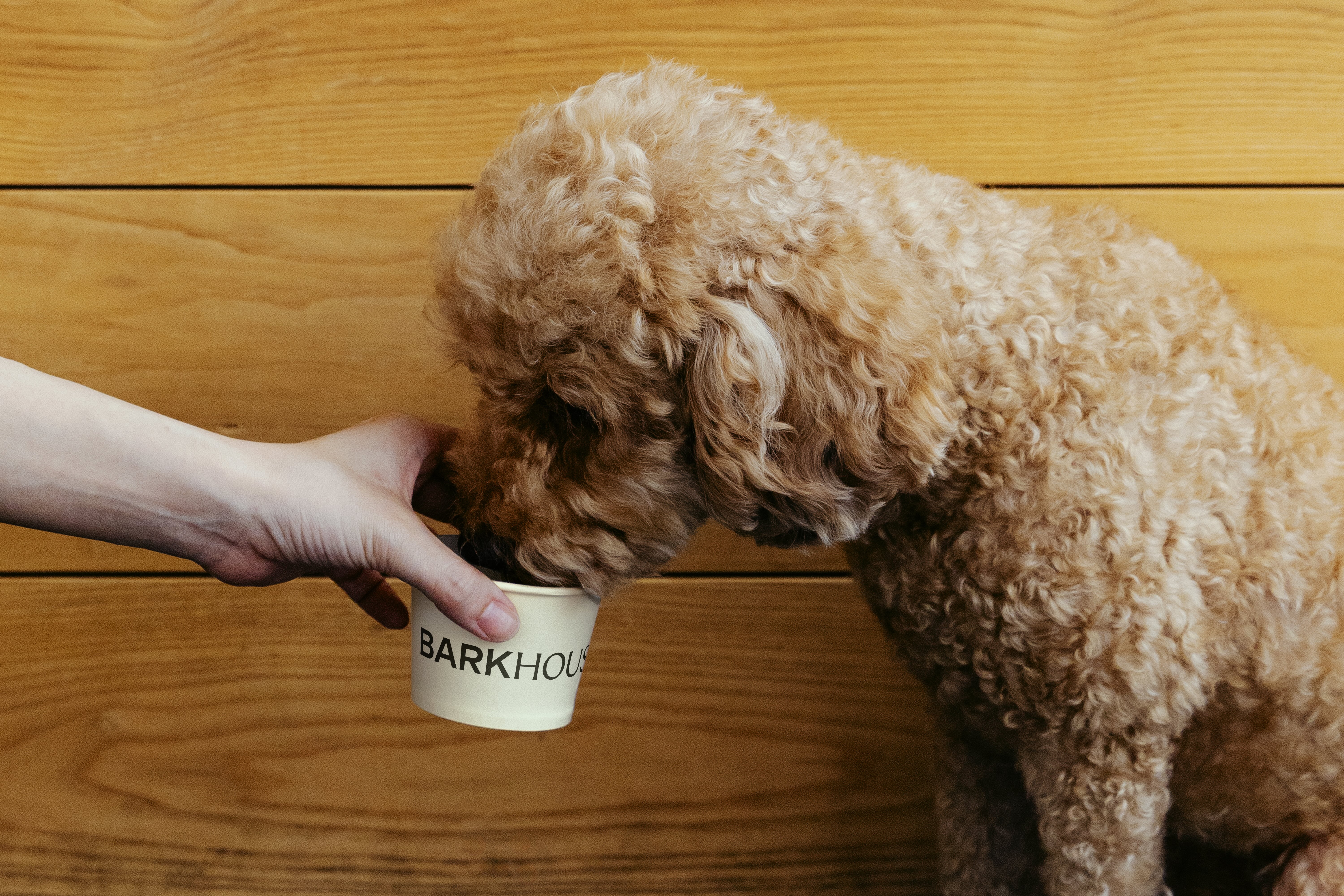 Petcare