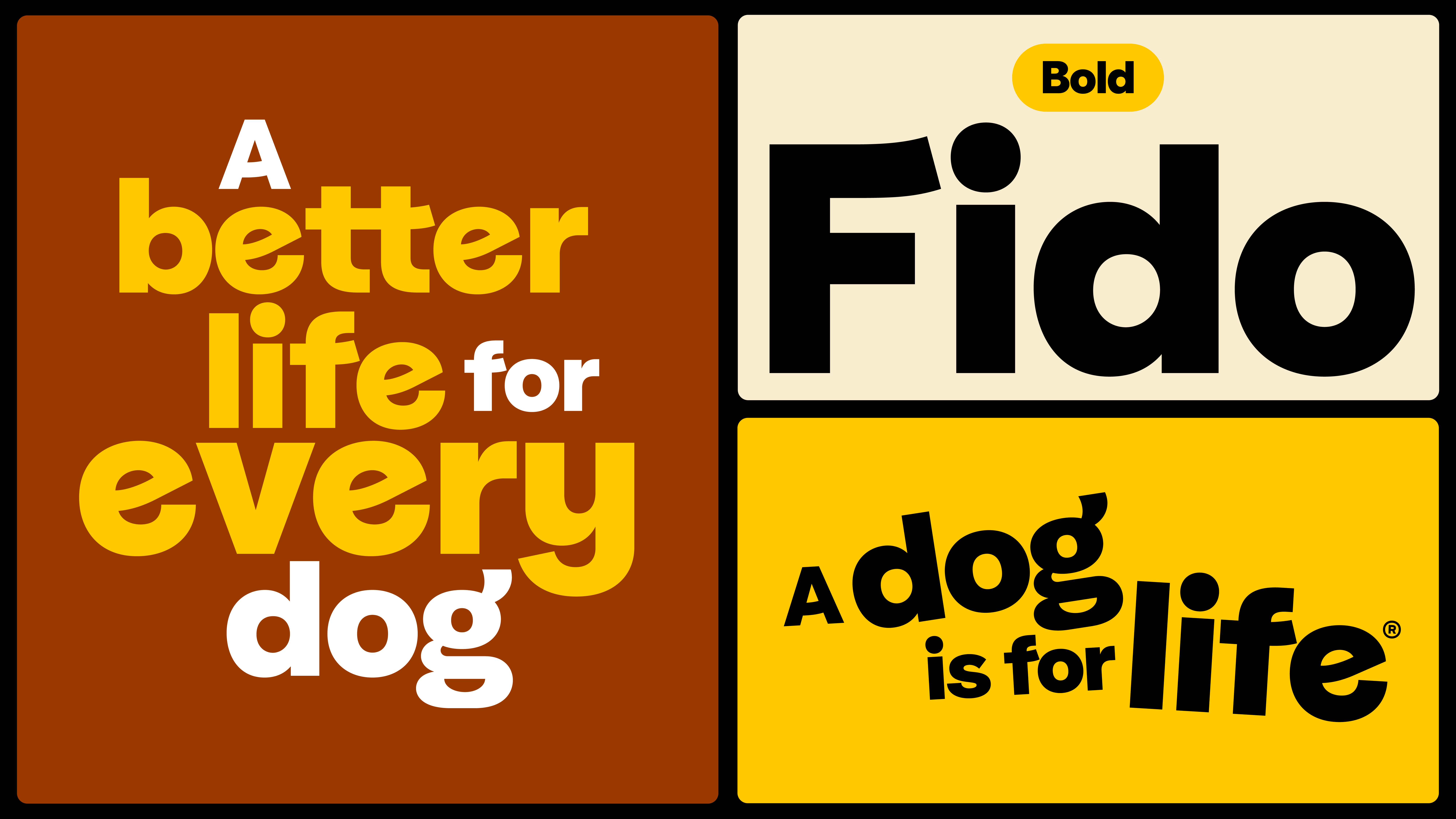 Transform magazine: Dogs Trust bold brand refresh reflects an evolution in personality – 2026