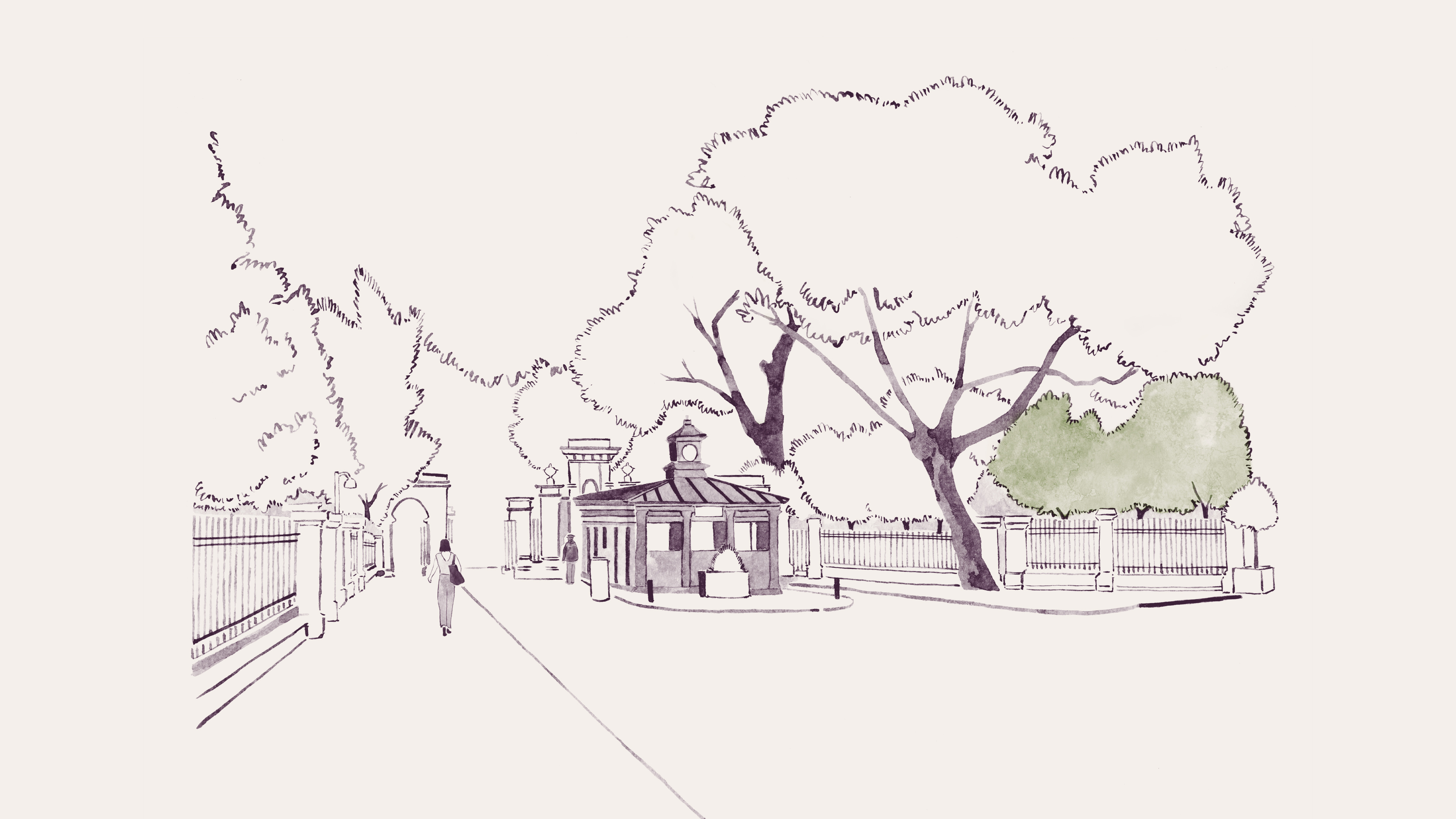 OPG CASESTUDY STILLS ILLUSTRATION 3