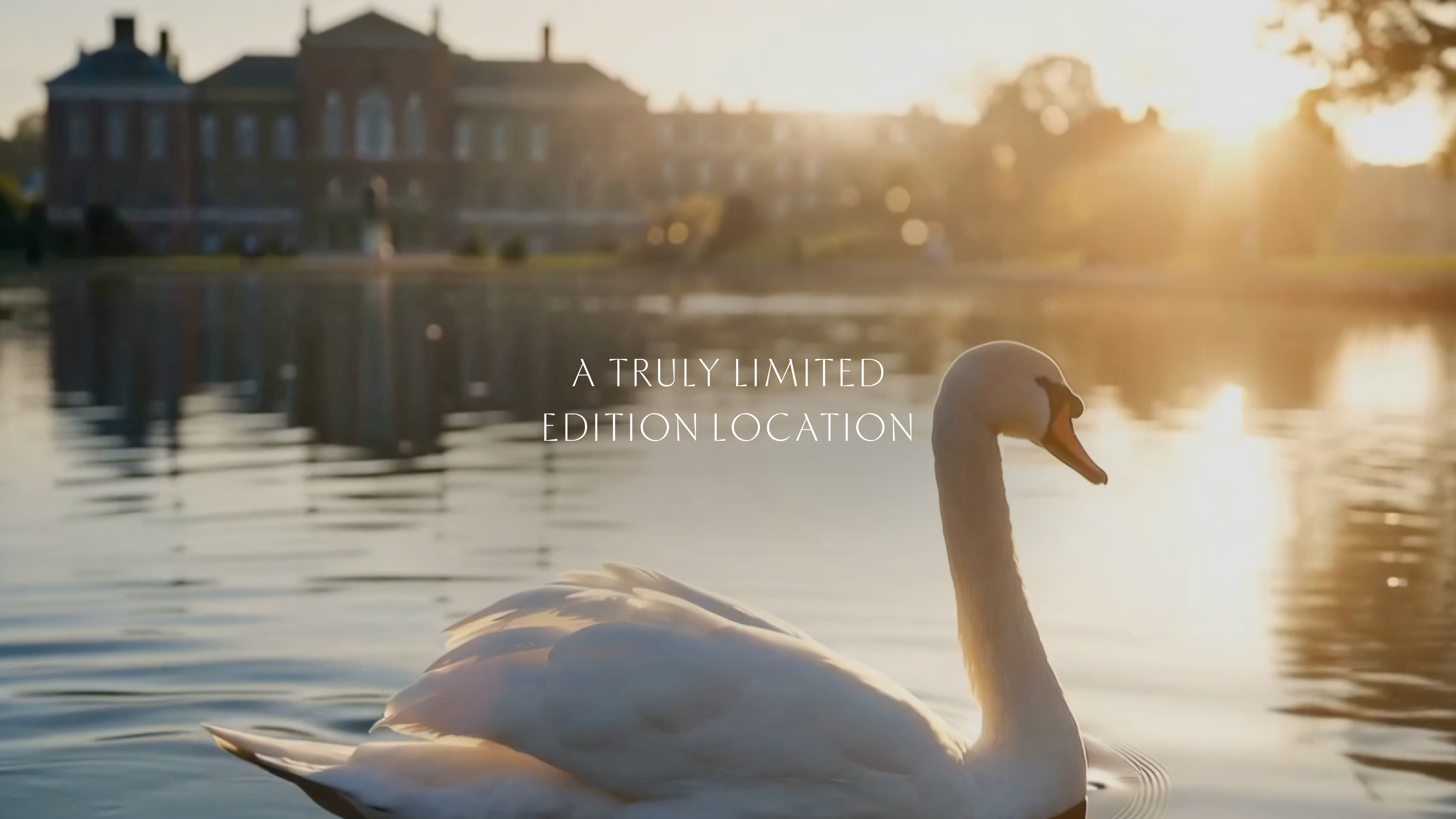 OPG CASESTUDY STILLS MANIFESTO 1