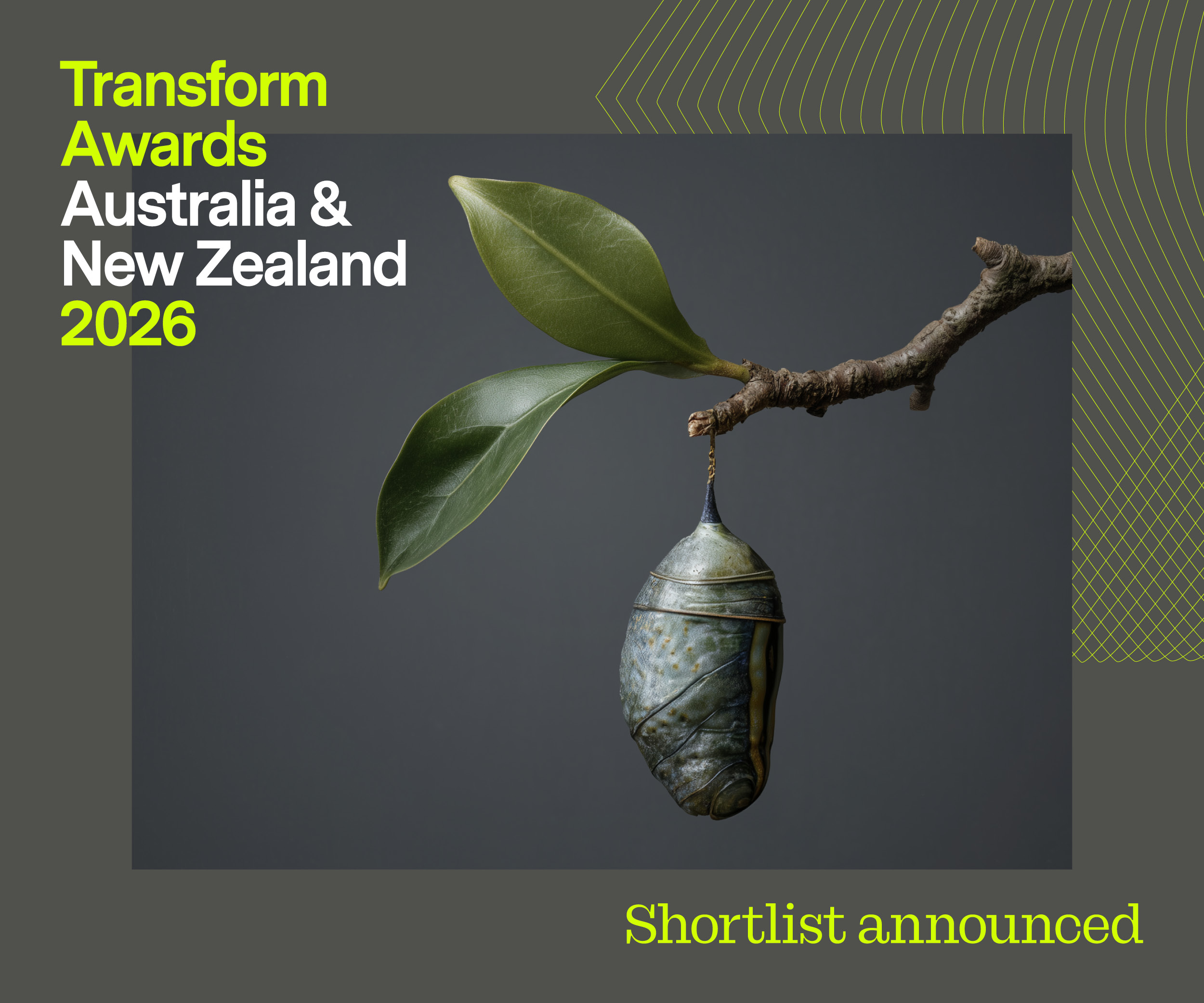 4 TA ANZ 2026 Shortlist Announced News Story