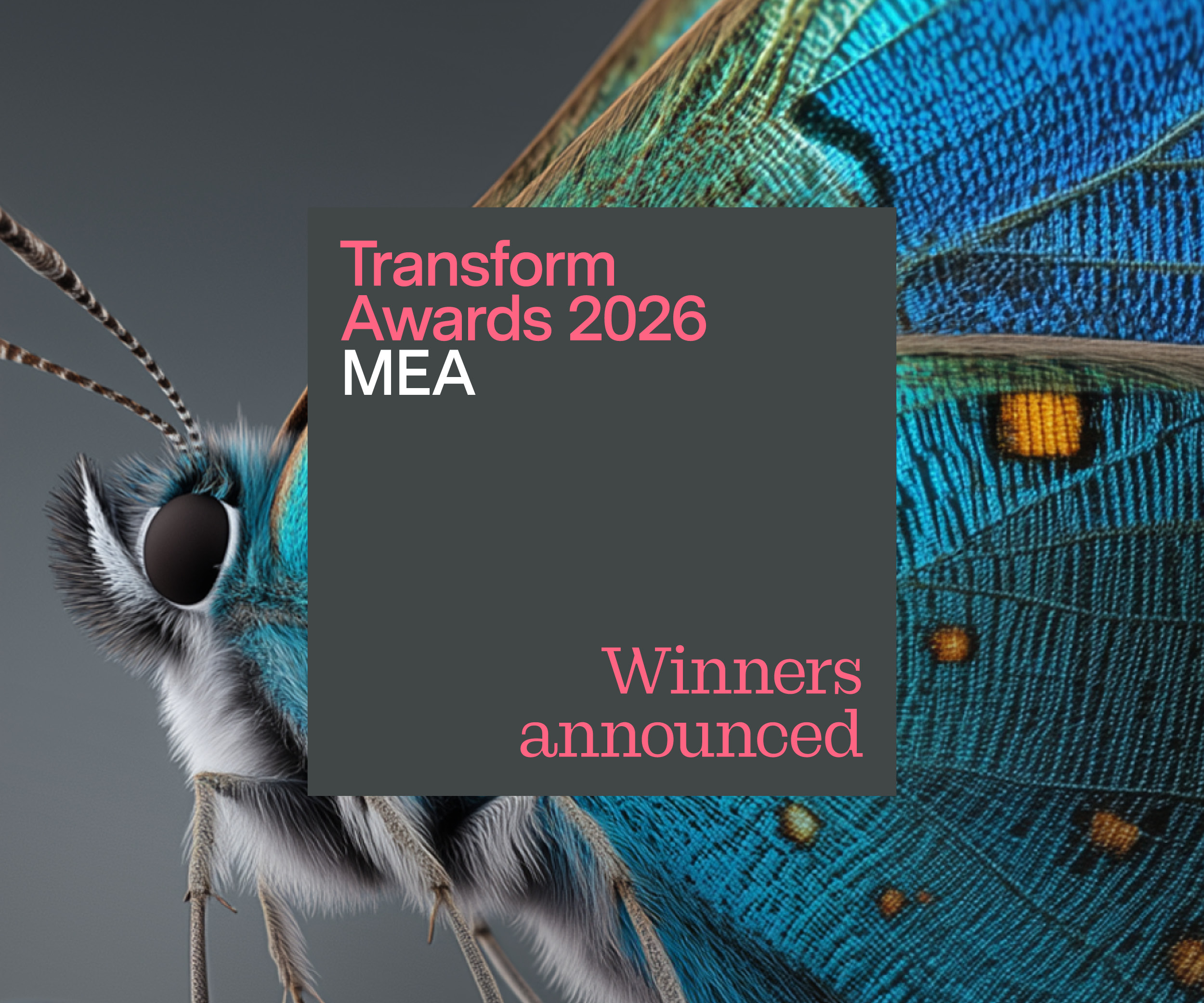 3 TA MEA 2026 Winners Announced News Story