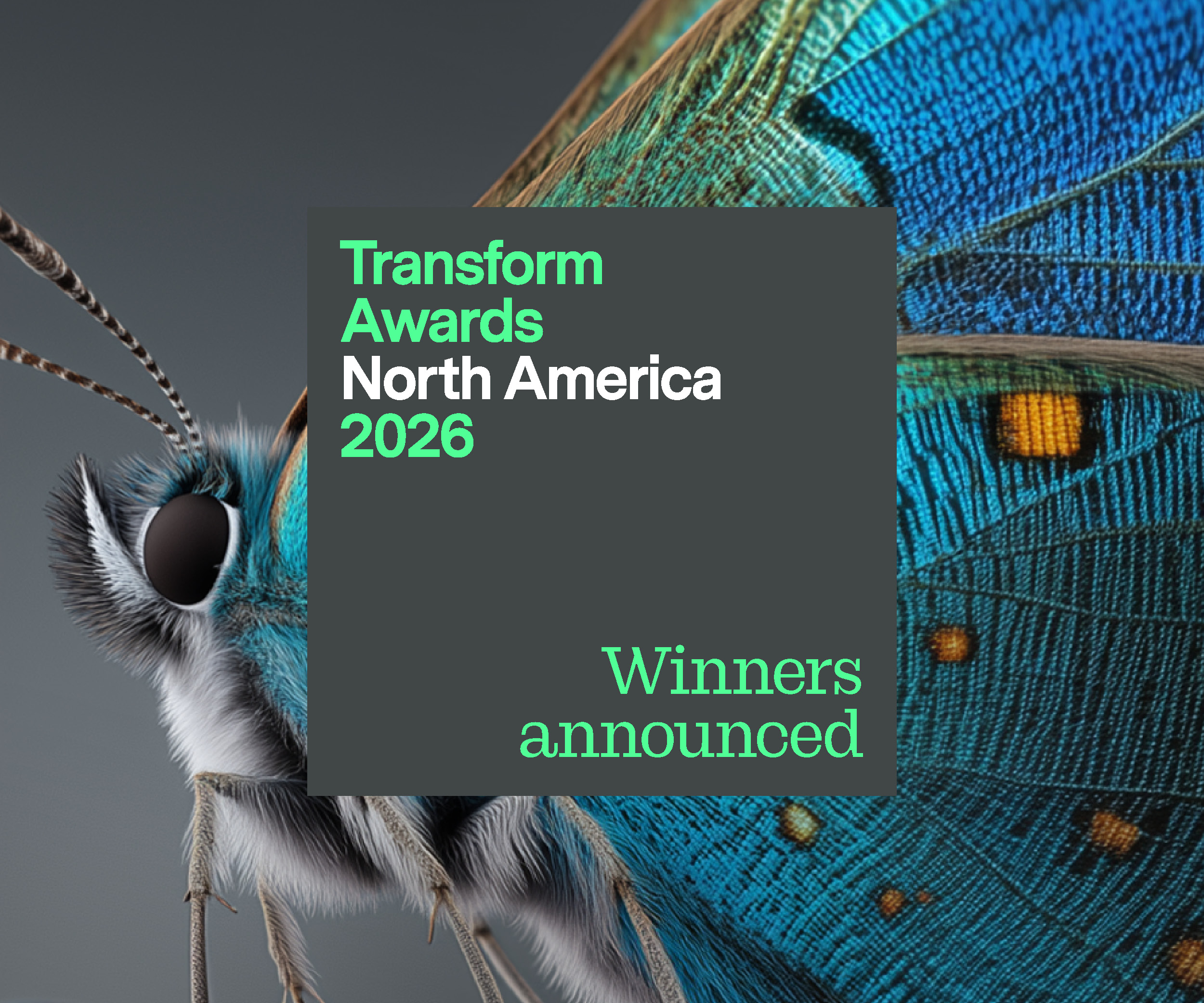 3 TANA 2026 Winners Announced News Story