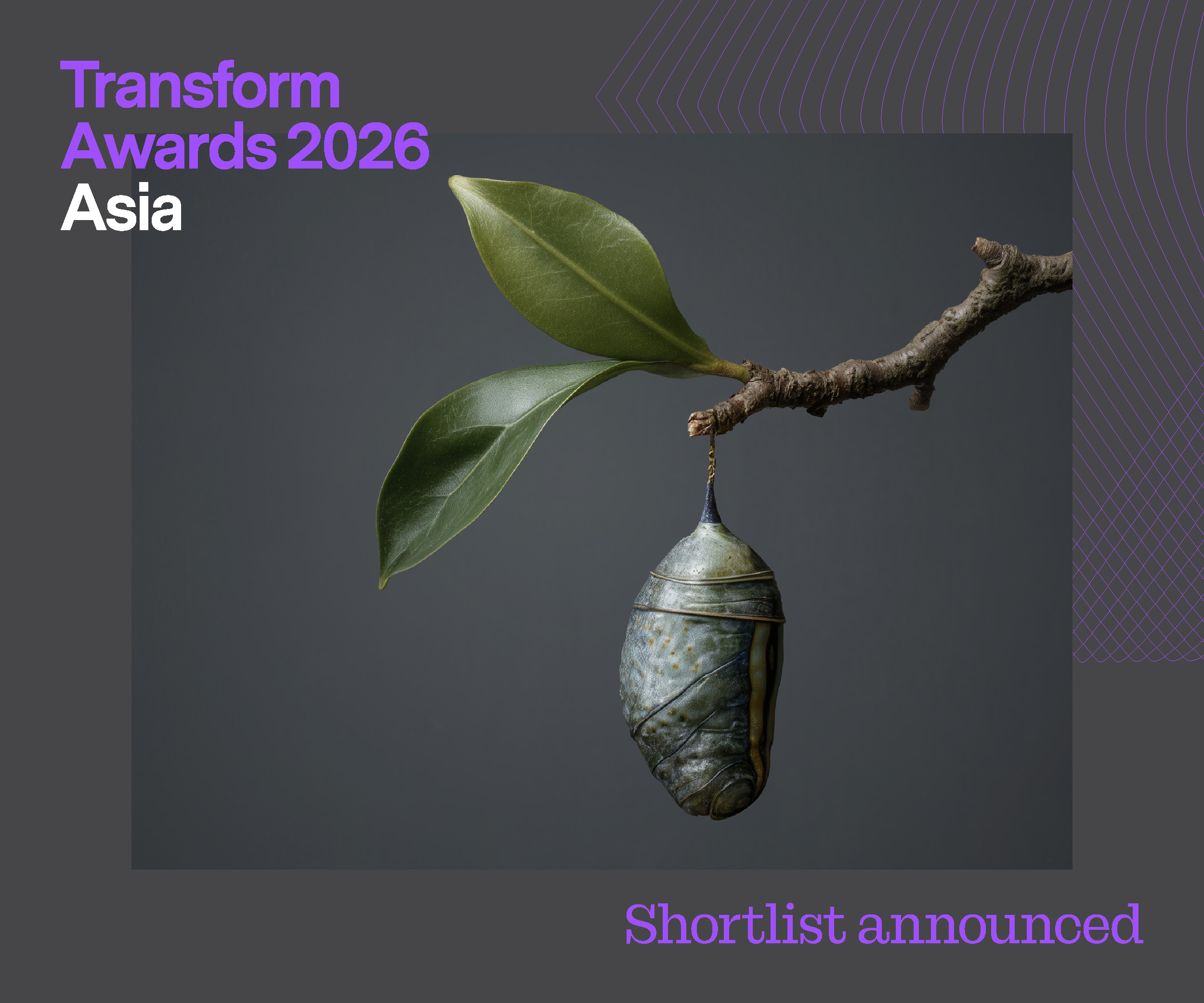 3 TA ASIA 2026 Shortlist Announced News Story