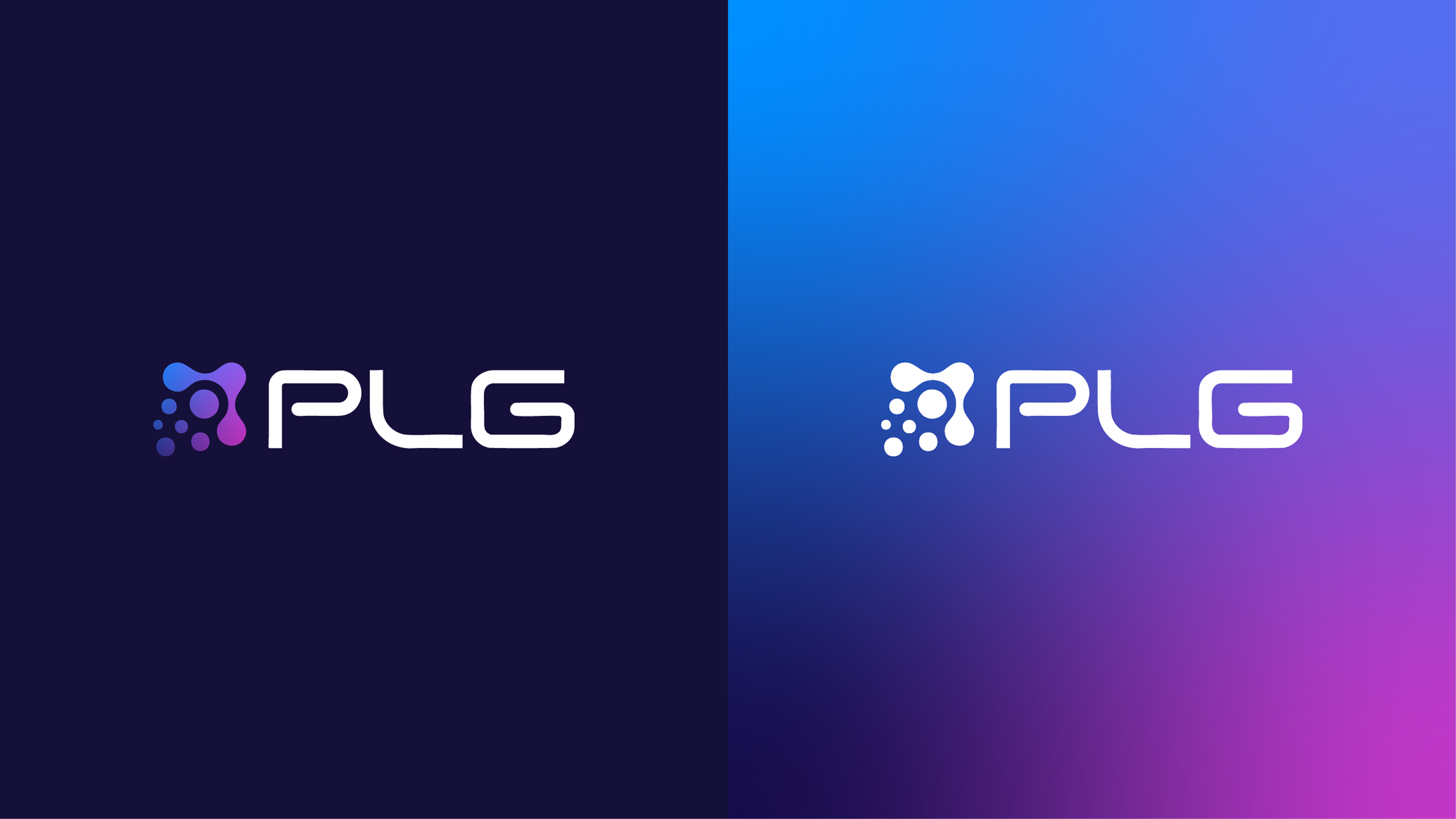 PLG 04