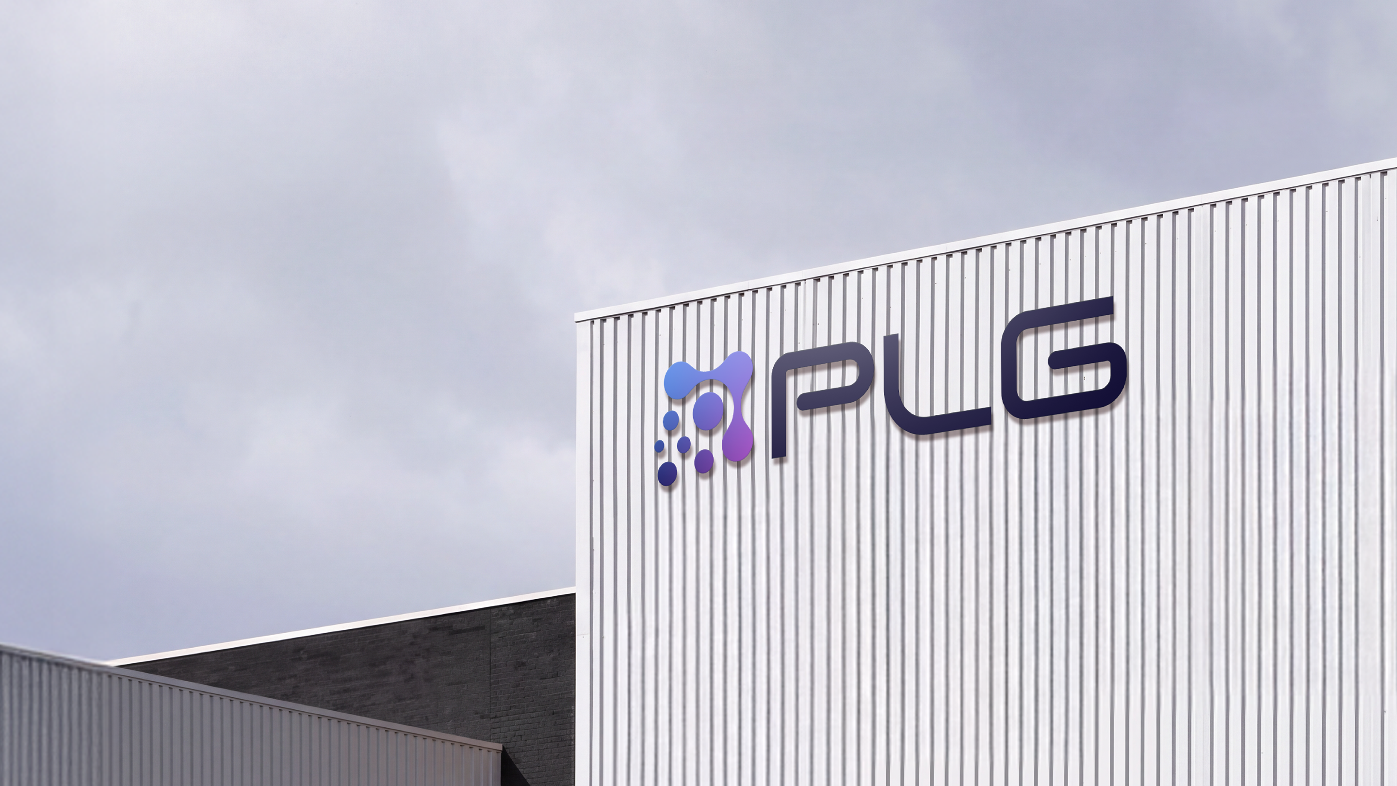 PLG 12