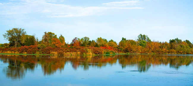 place for life.jpg (1)