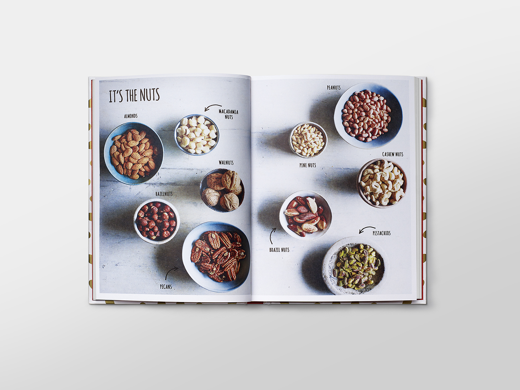 PN_Book_Page 9_1mb.jpg