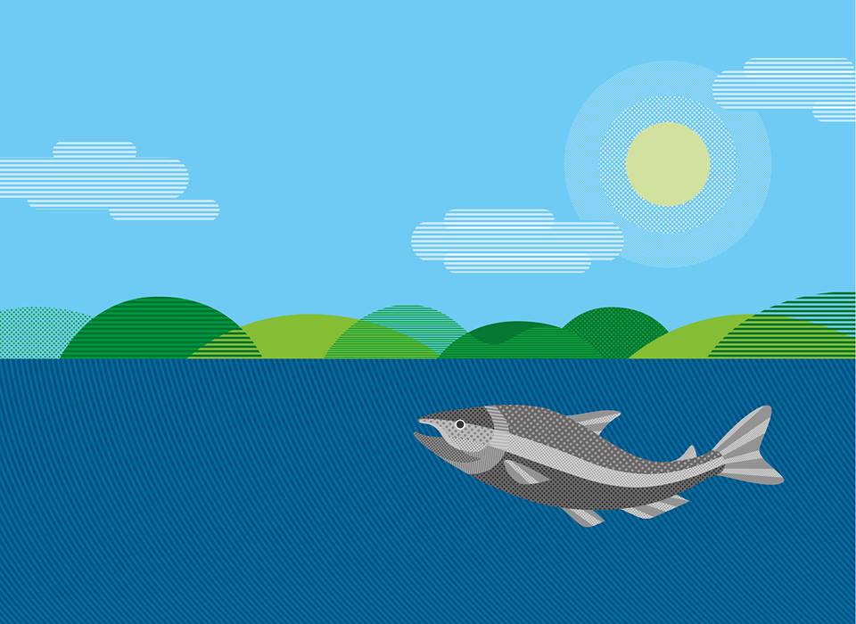 Countryside alliance 2.jpg