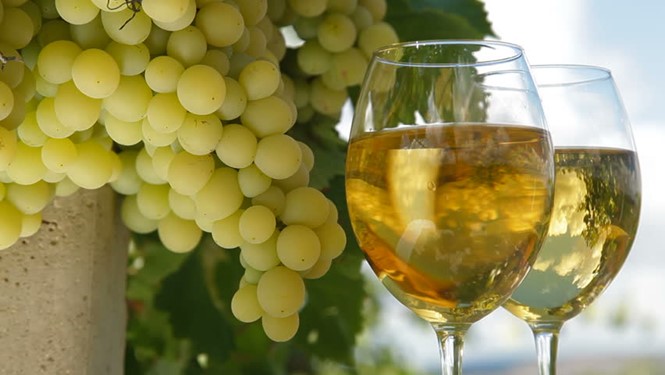 White wine grape.jpg