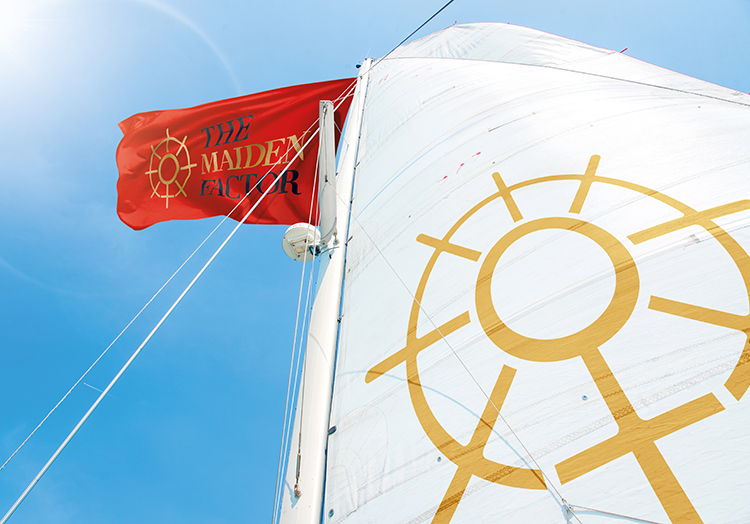 The Maiden Factor_Image 4.jpg