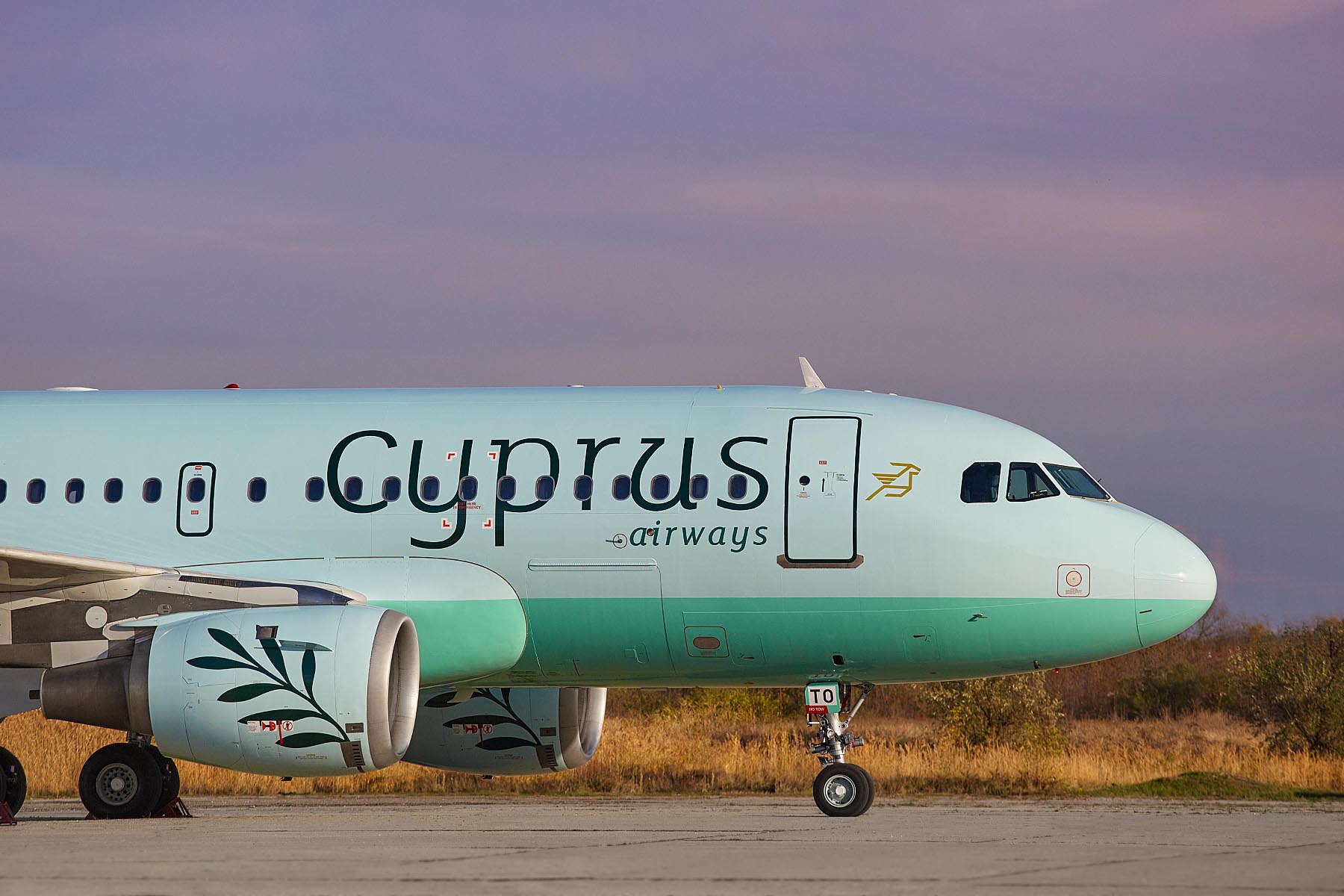 Cyprus_A319_4.jpg