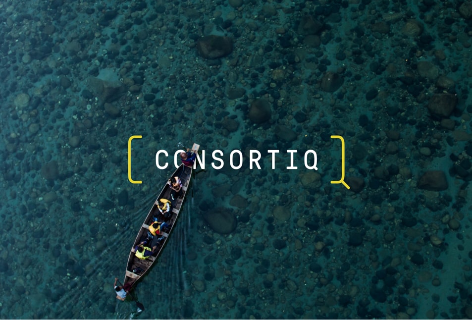 Consortiq 1.jpg