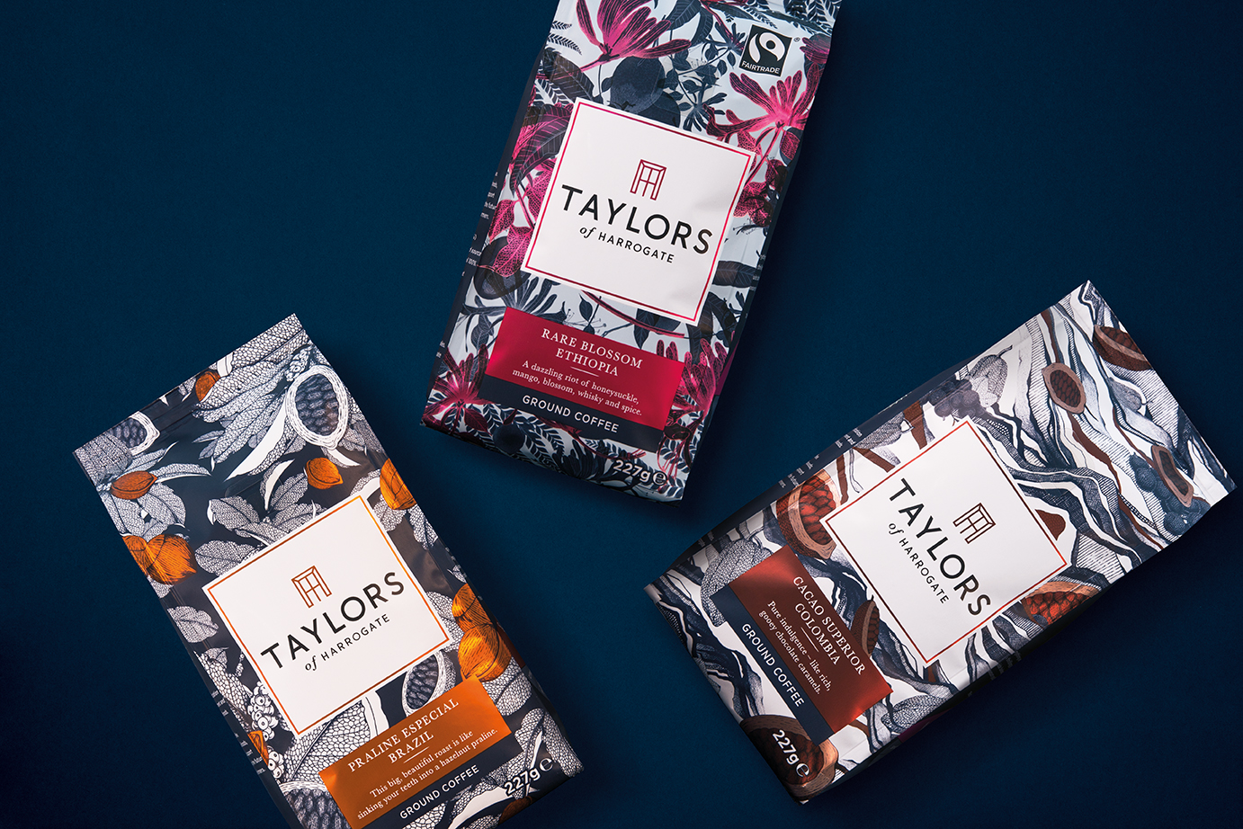 01_Taylors of Harrogate_Pearlfisher_Origins Coffee Range_Digital.jpg