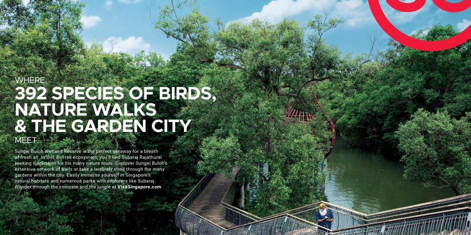 Singapore place brand 3.jpg