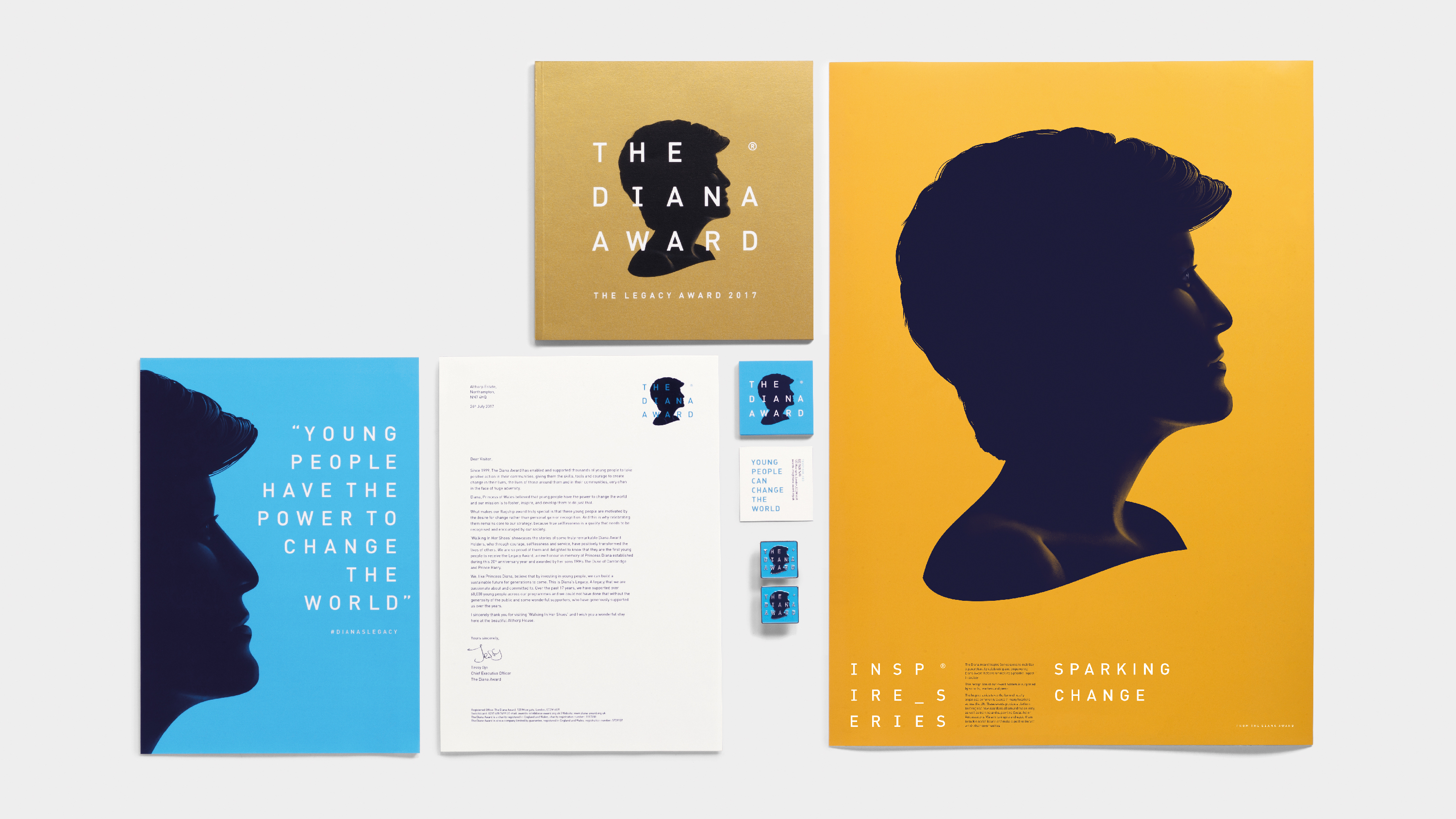 Diana brand assets.jpg