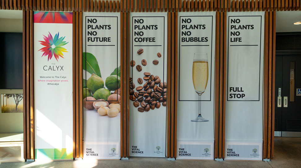 Australian botanic gardens 3.png