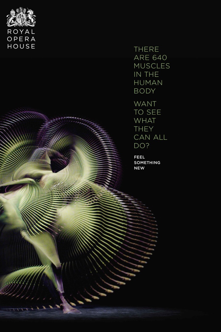 ROH_POSTER_1_LO RES.jpeg