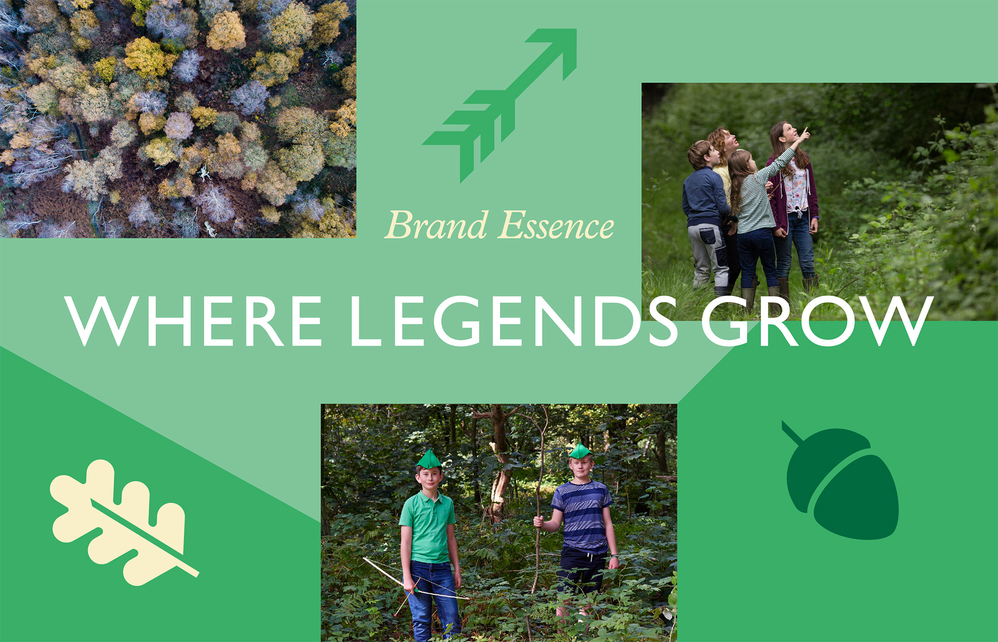 sherwood_forest_brand_essence.jpg