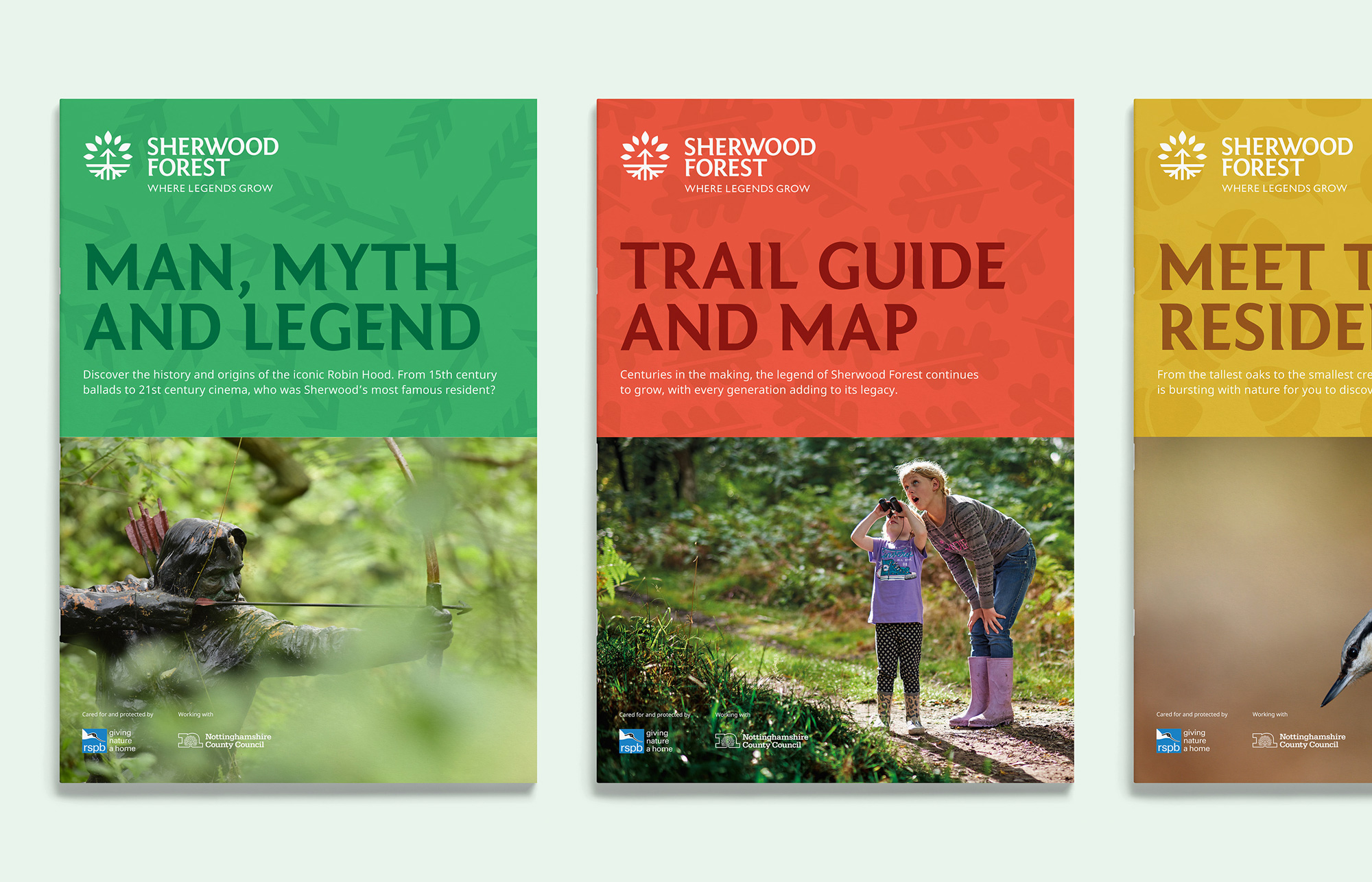 sherwood_forest_brochures.jpg