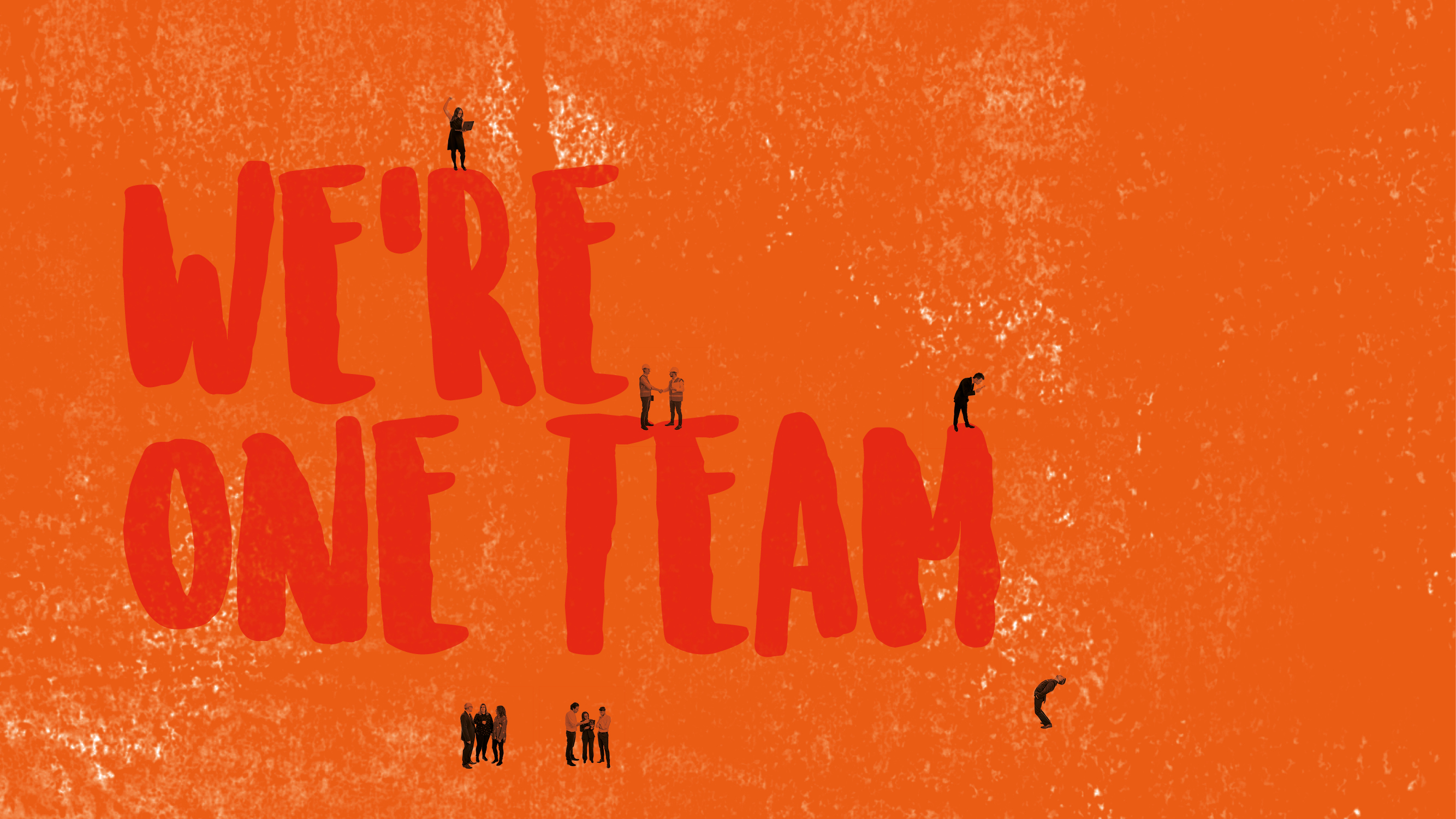 Hollis_new case study17.jpg