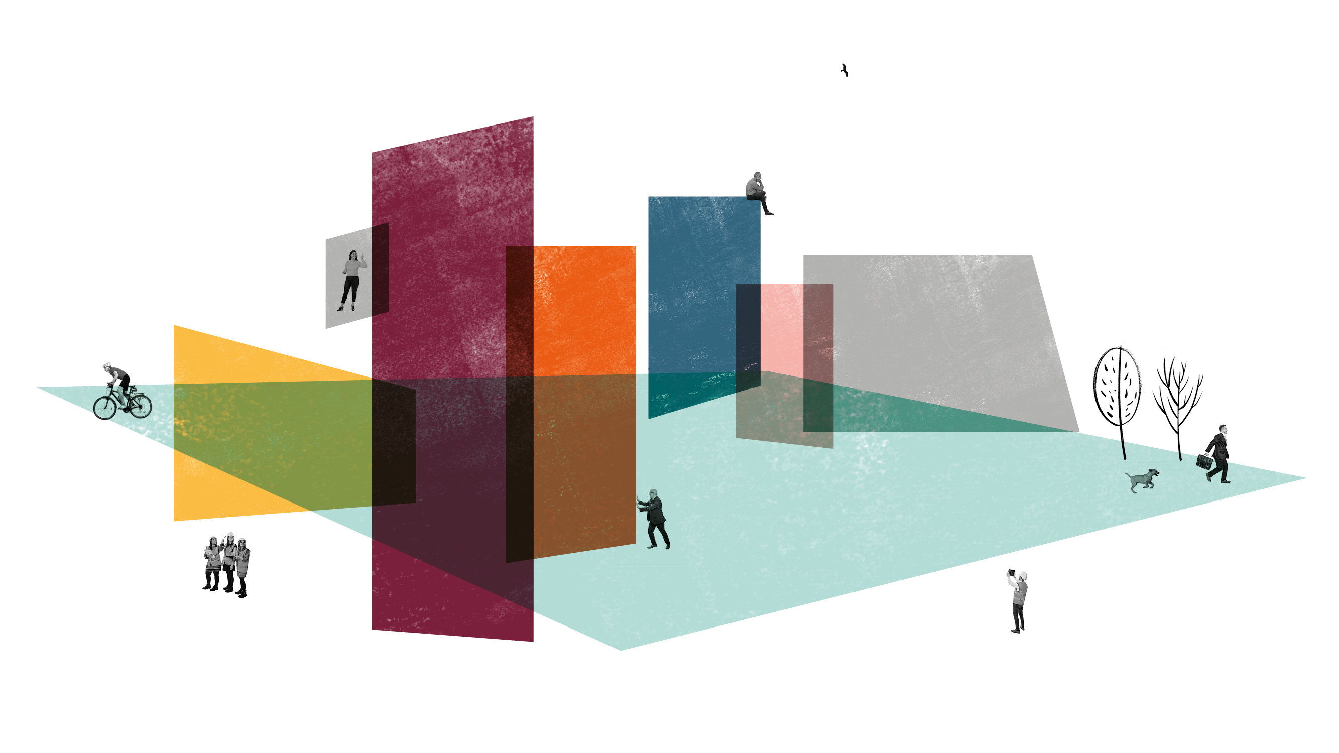 Hollis_new case study3.jpg