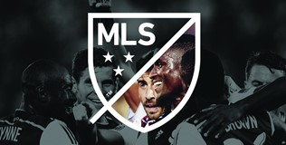 MLS_2.jpg